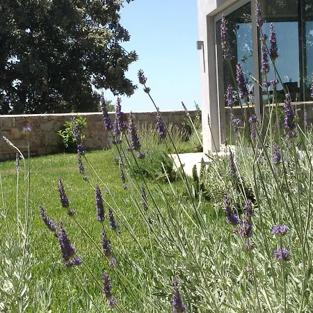 Lidea Boutique Apartment *