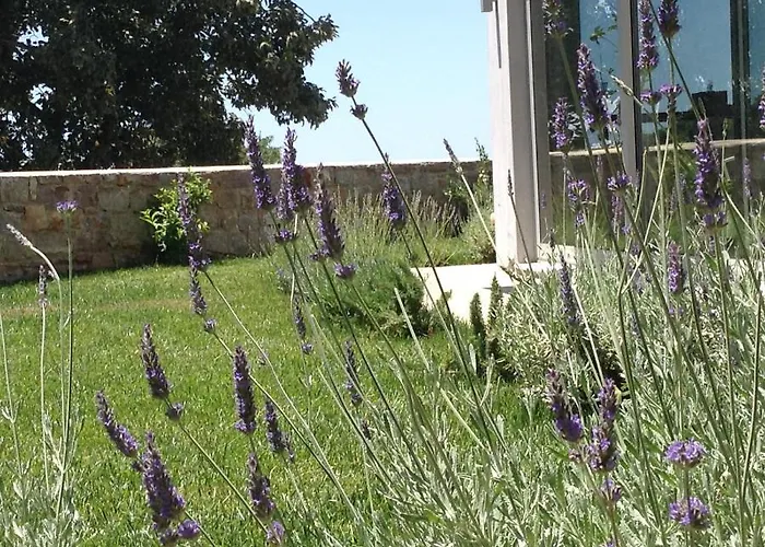 Lidea Boutique Lejlighed *